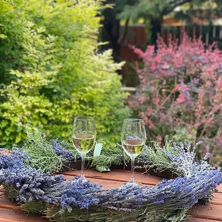 فيلة Relax Vendeghaz Gárdony