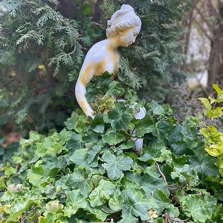 Relax Vendeghaz Villa Gárdony