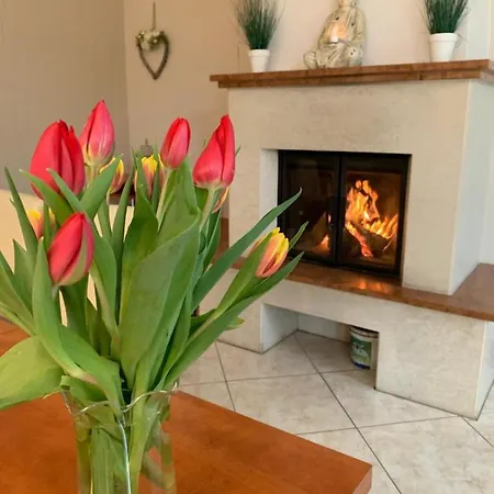 Relax Vendeghaz فيلة