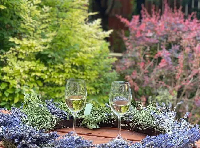 Vila Relax Vendeghaz Gárdony