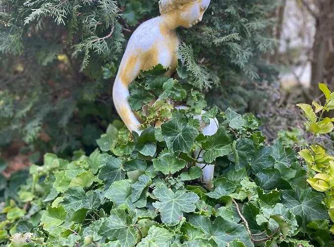 Relax Vendeghaz Vila Gárdony