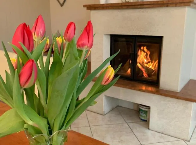 Relax Vendeghaz Vila